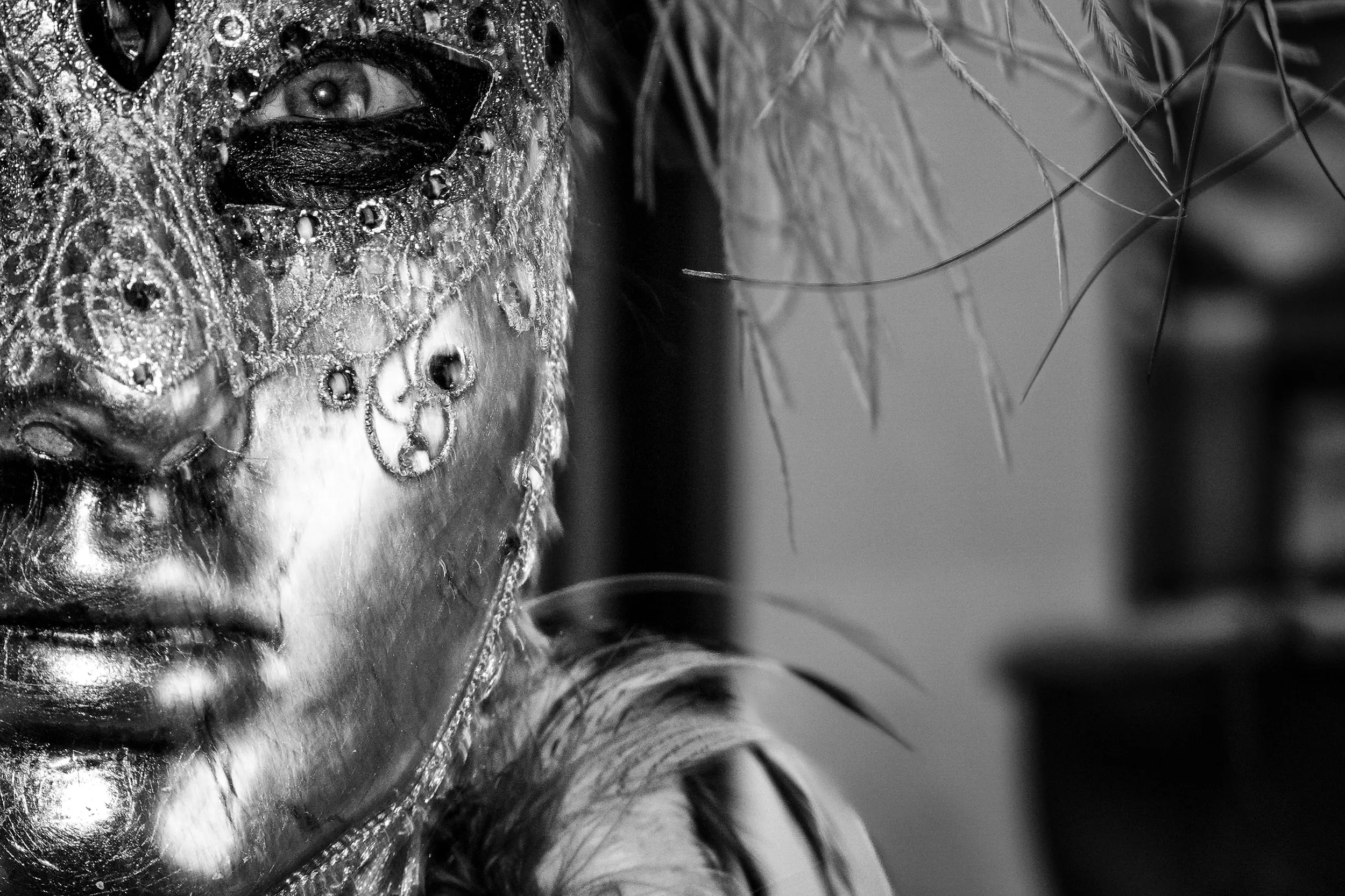 Carnevale di Venezia, фотография 3