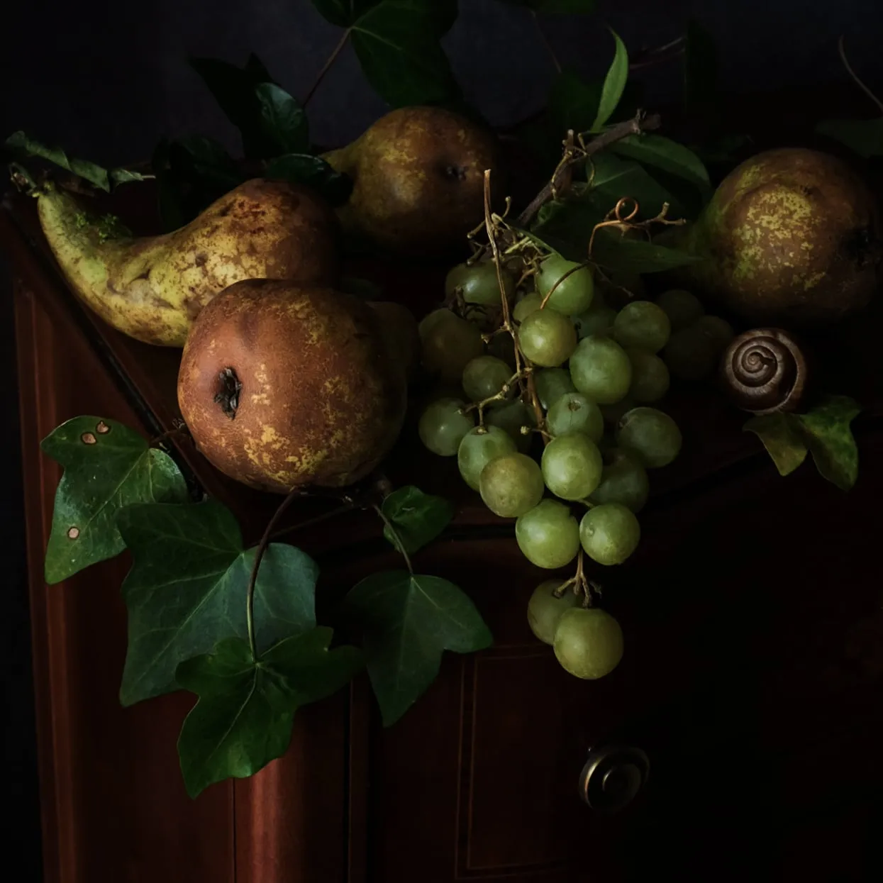 Still Life, фотография 6