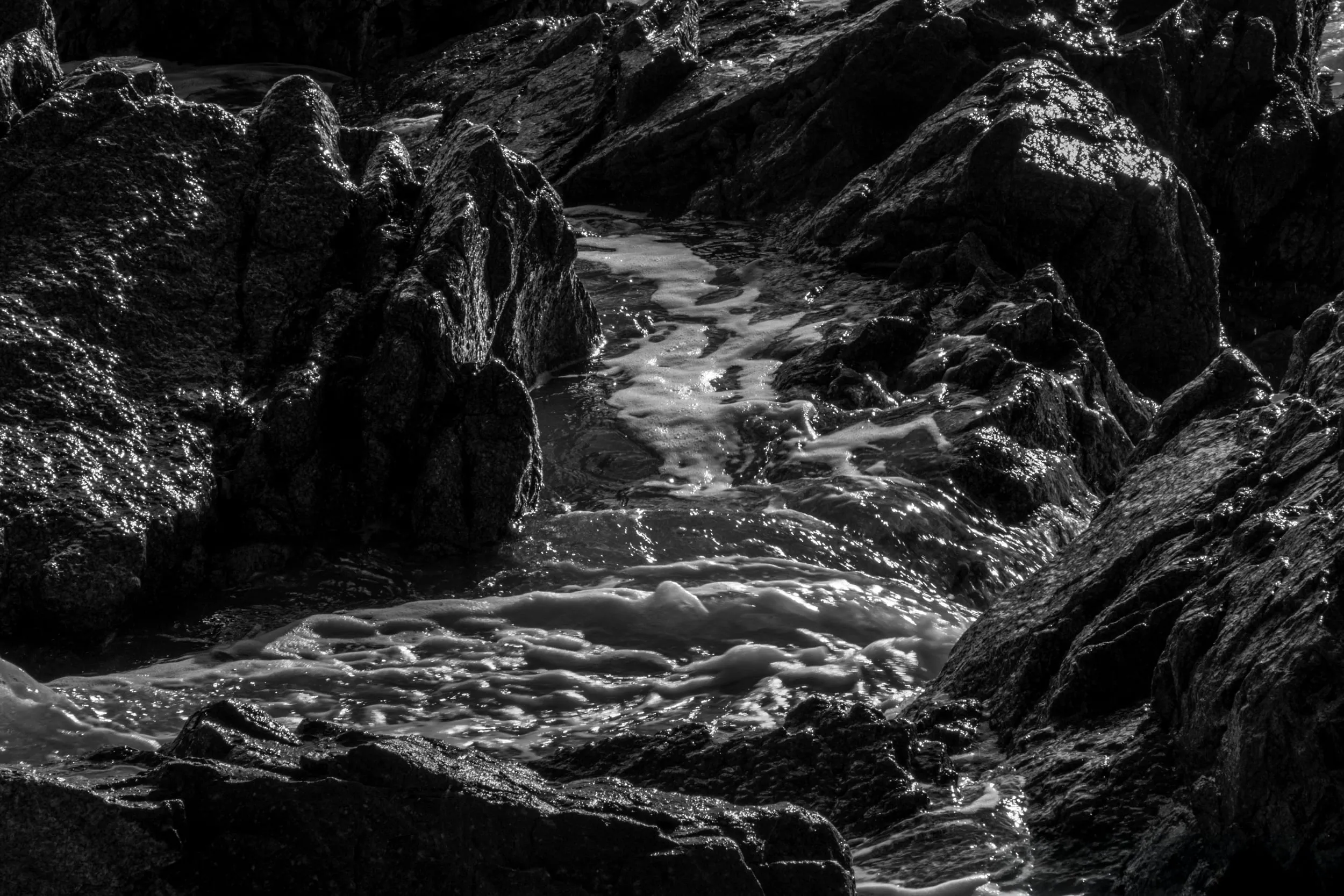 Pseudonym, photograph 7