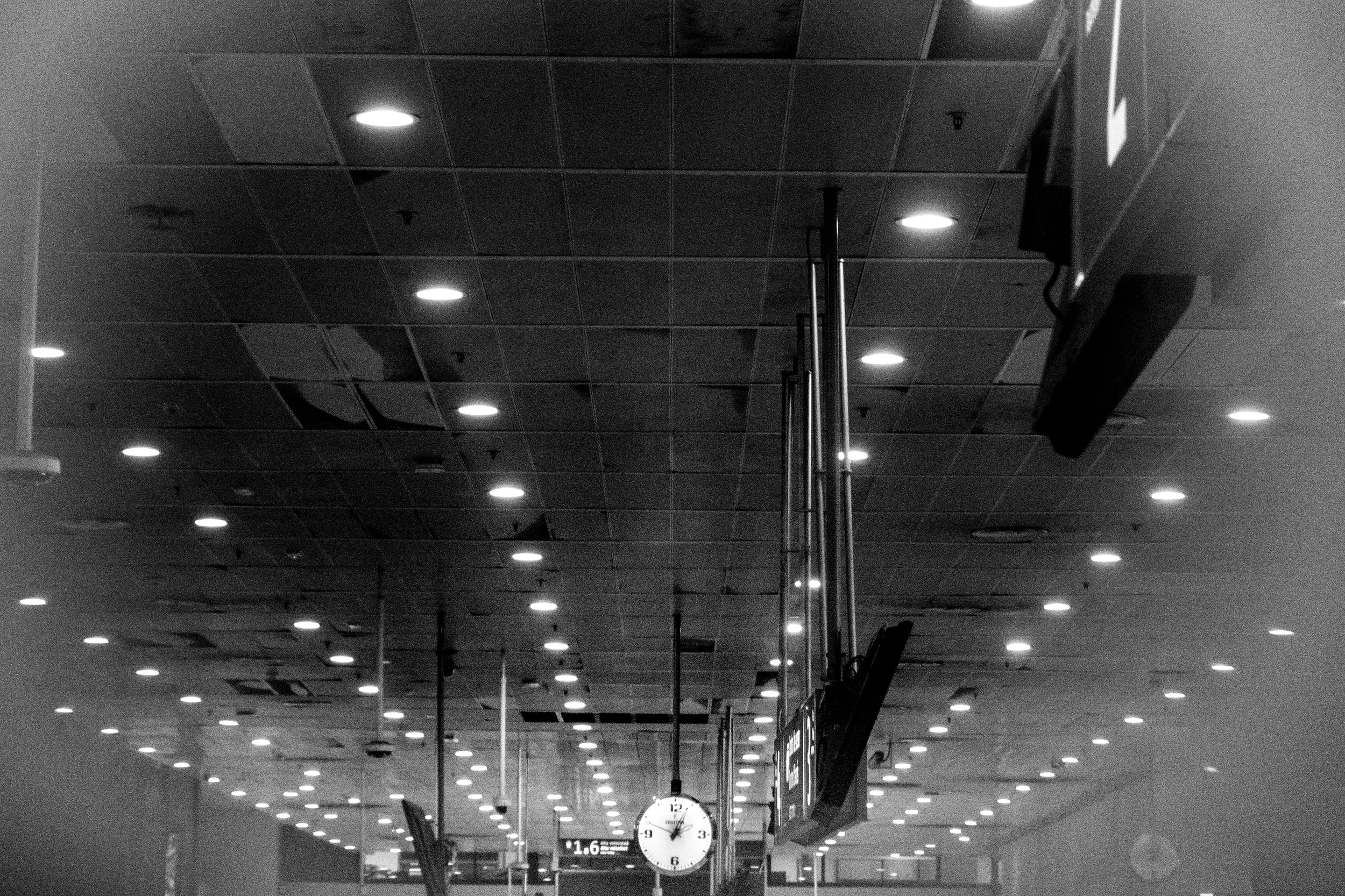 Access Zone, photograph 8