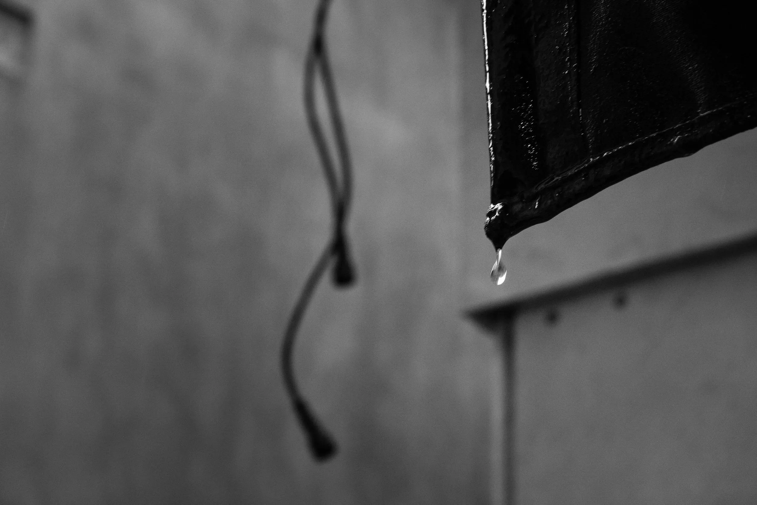 Carnevale di Venezia, фотография 8
