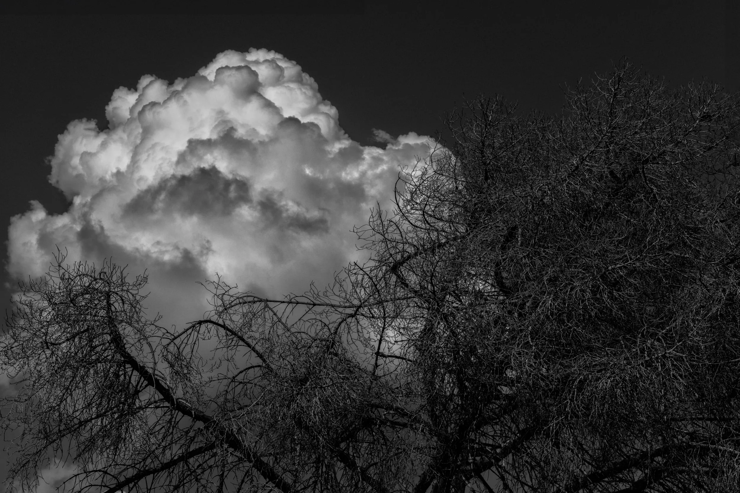 Pseudonym, photograph 11