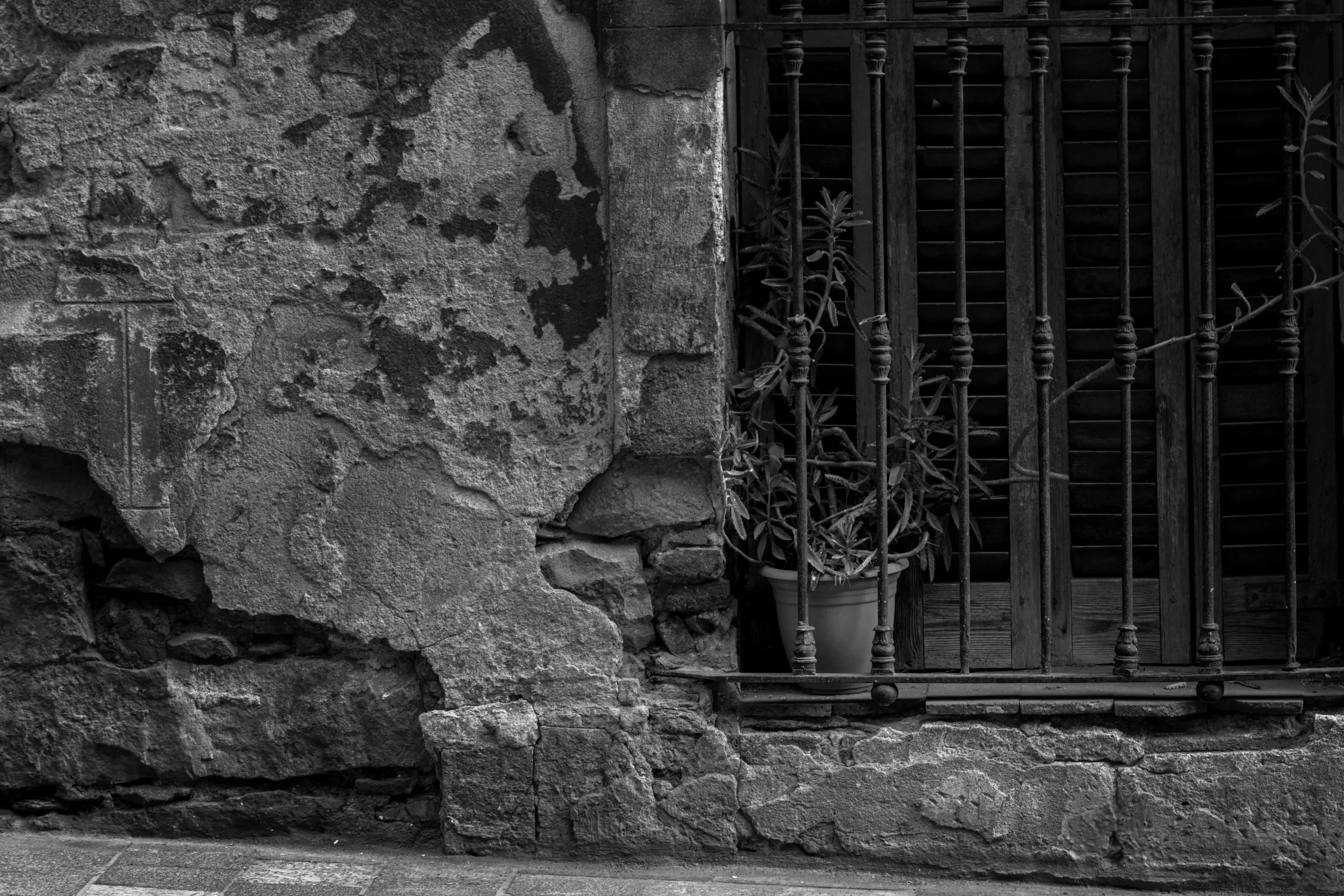 Pseudonym, photograph 12