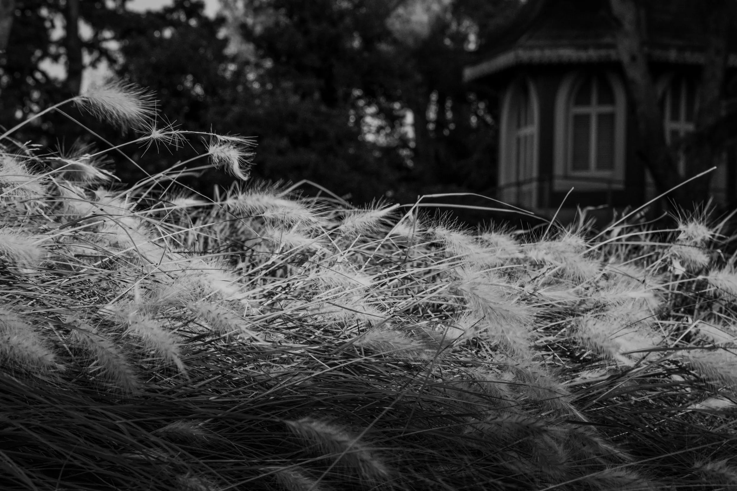 Pseudonym, photograph 13