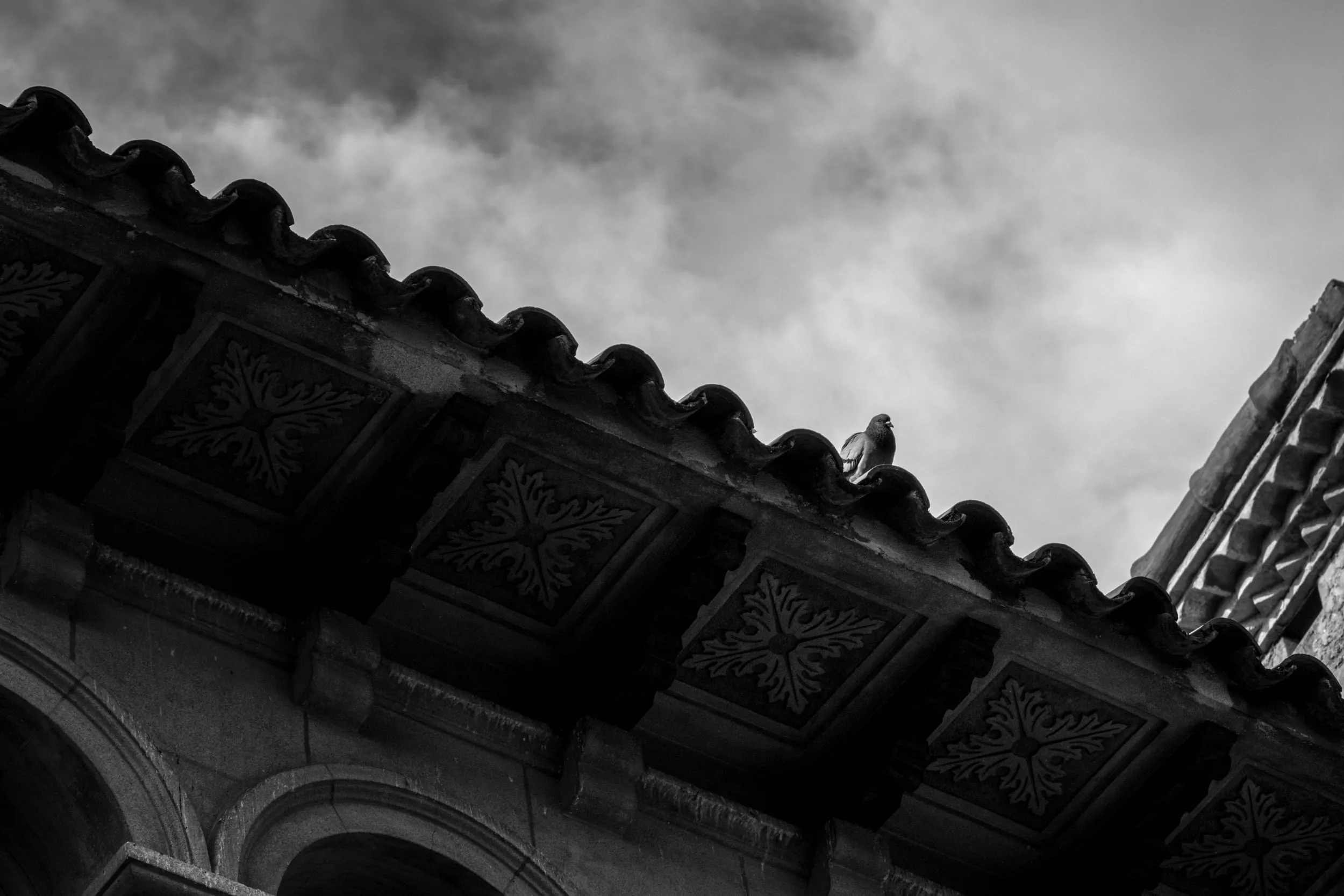 Pseudonym, photograph 14