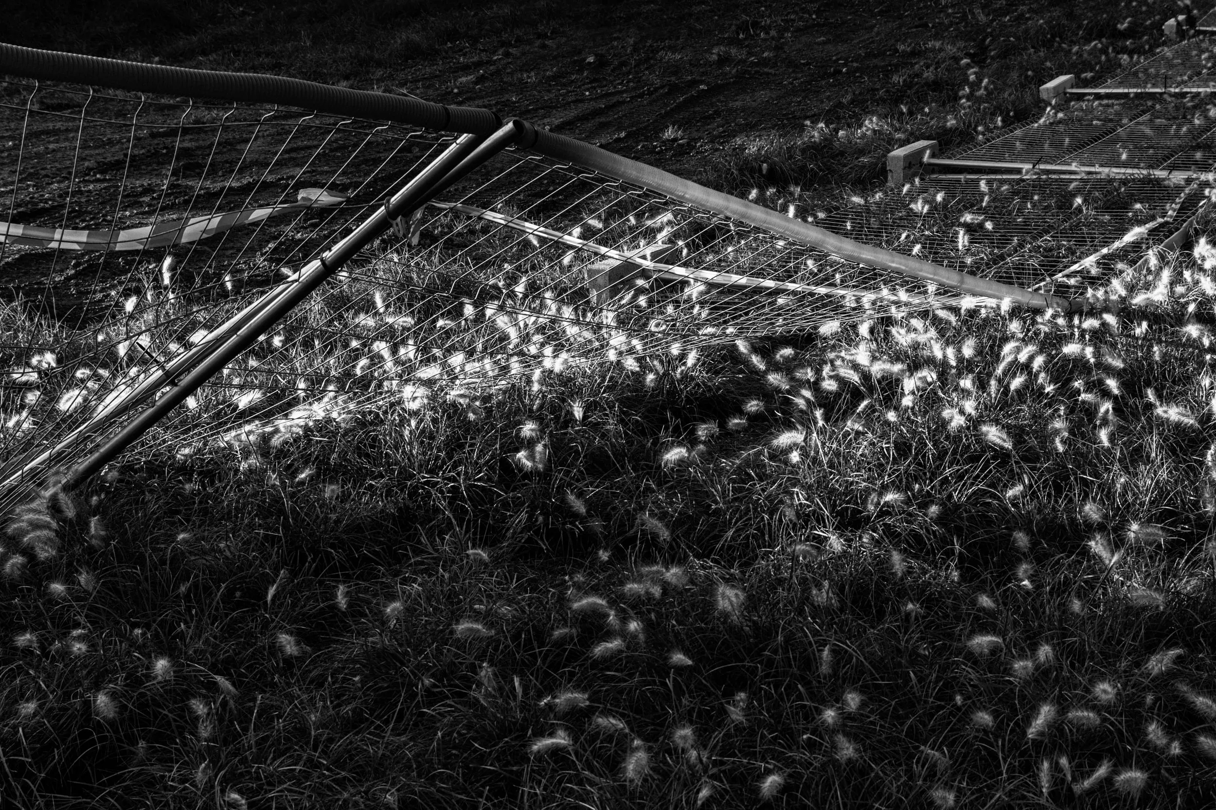 Pseudonym, photograph 17