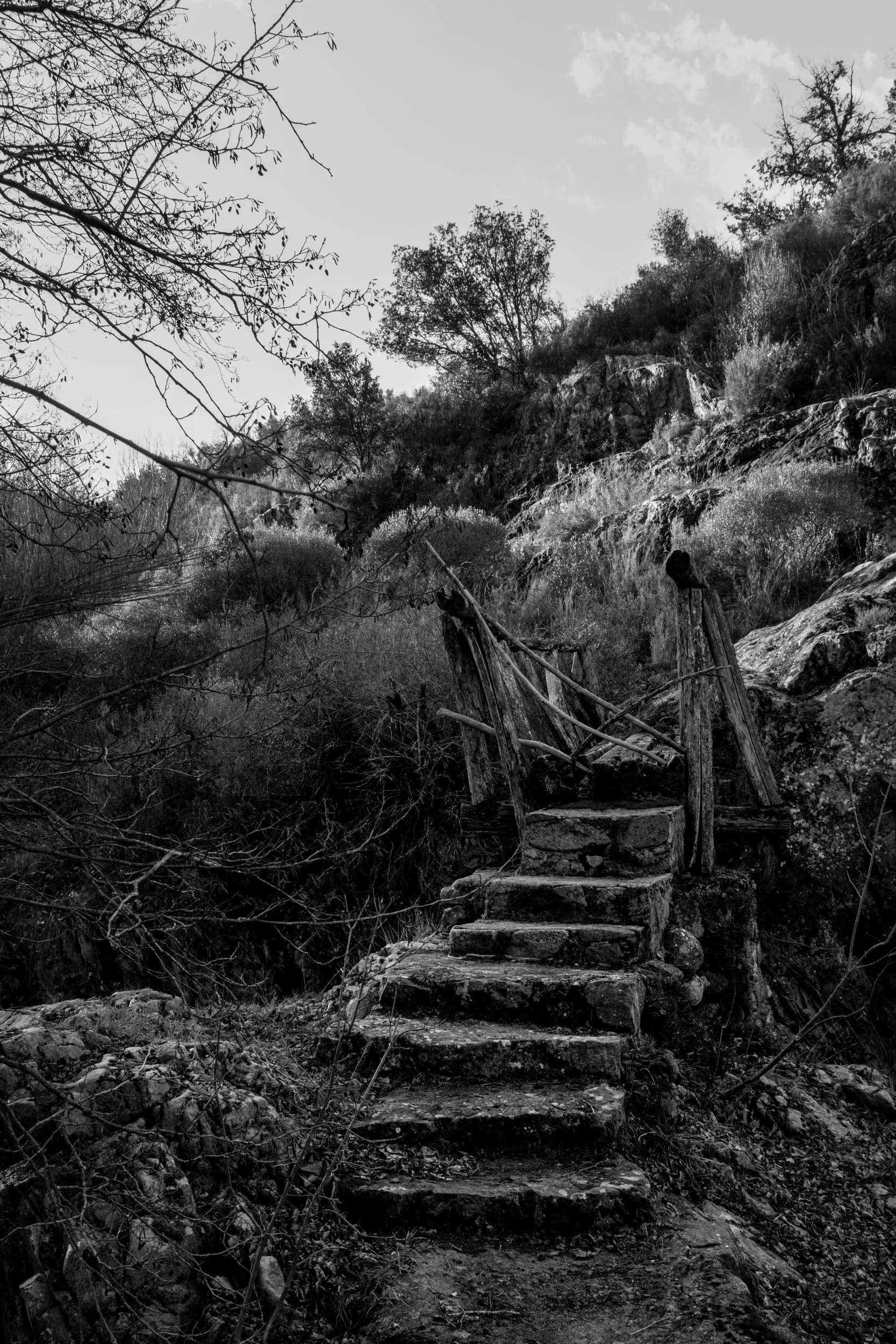 Pseudonym, photograph 18