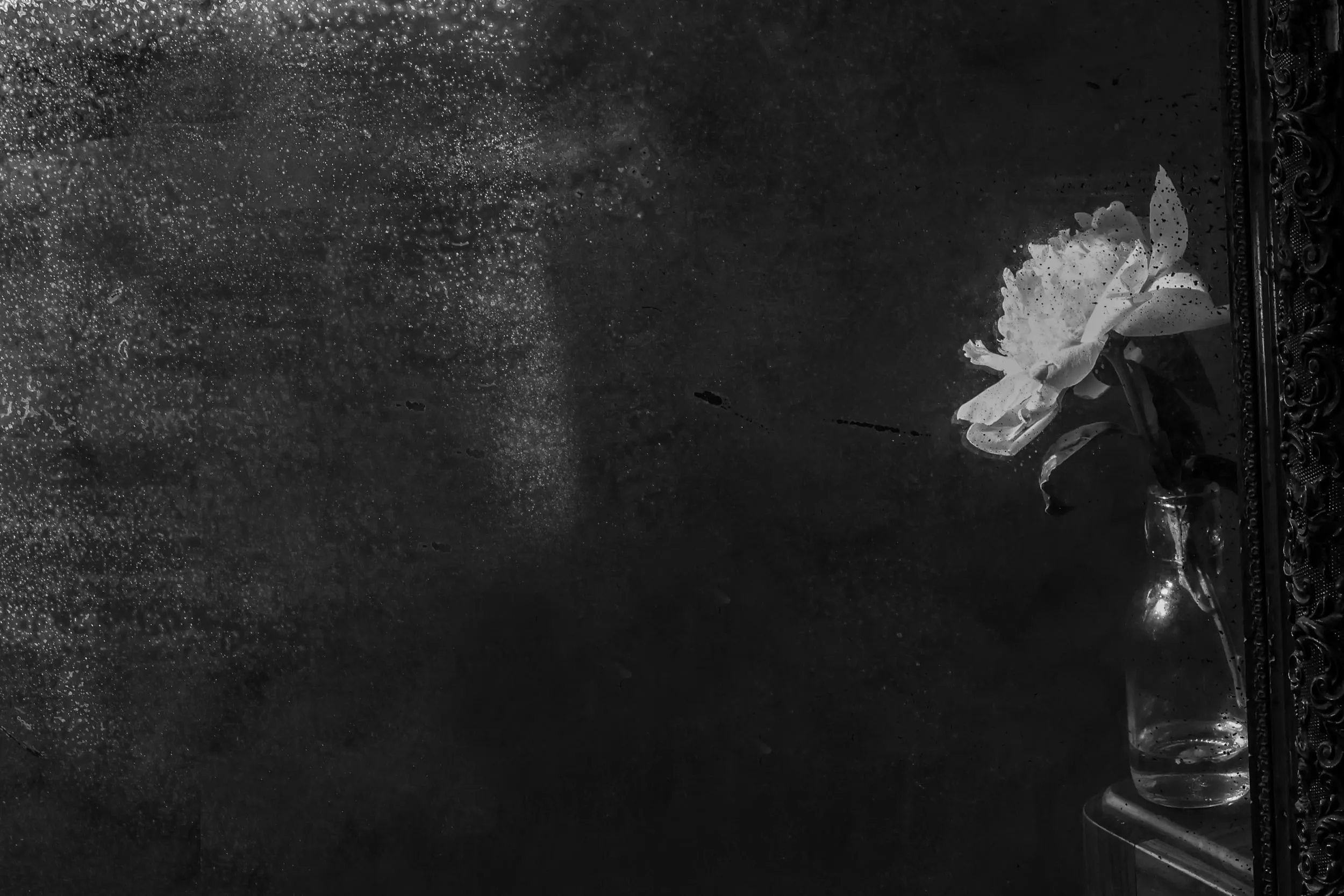 Pseudonym, photograph 20