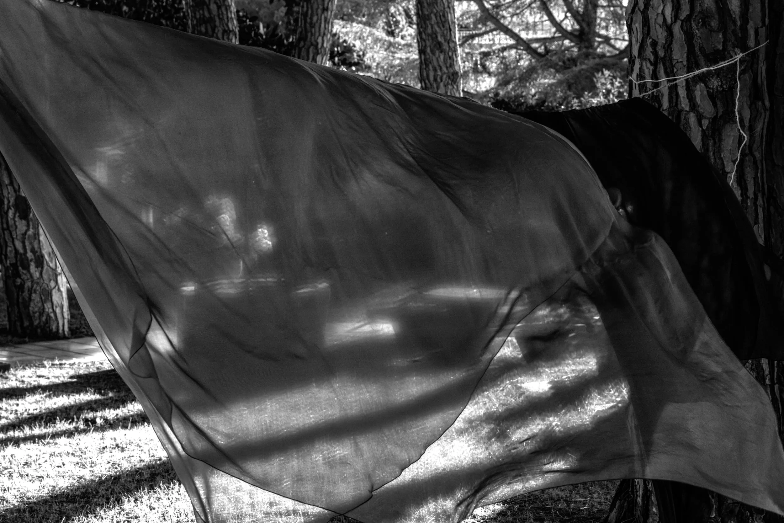 Pseudonym, photograph 22