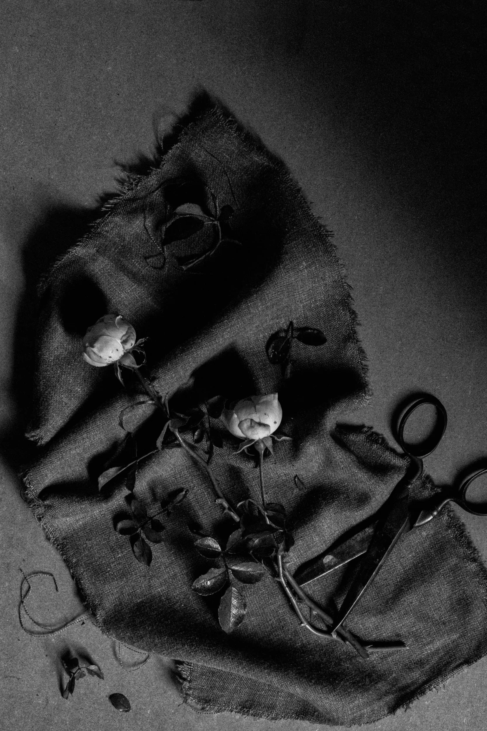 Pseudonym, photograph 23