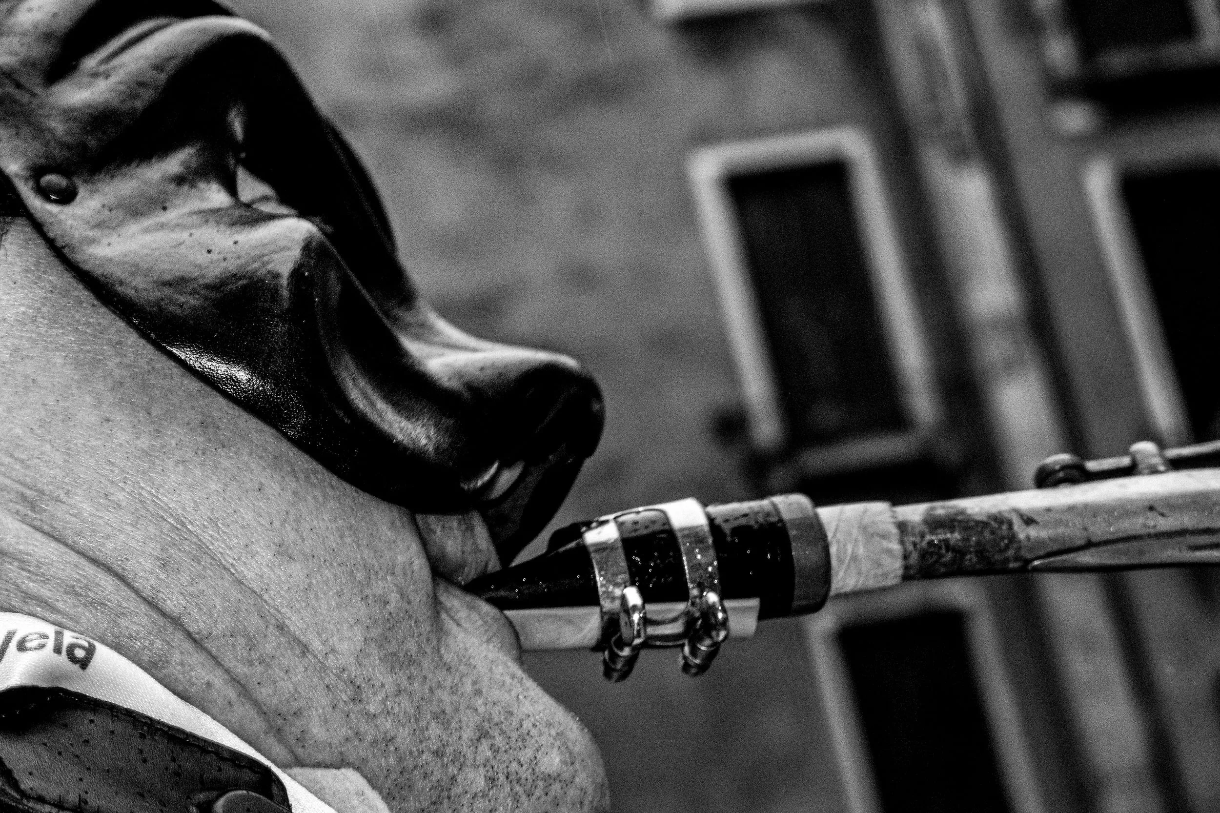 Carnevale di Venezia, фотография 23