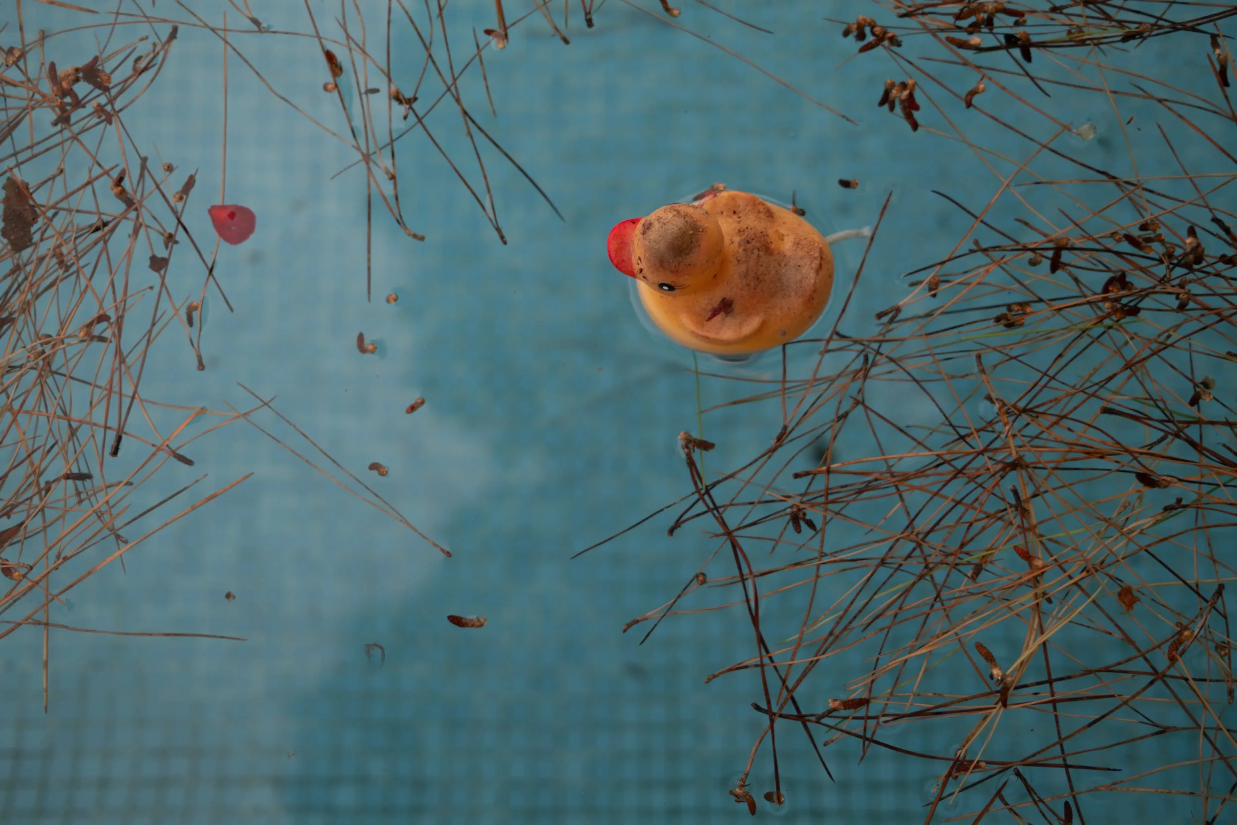 Mama, photograph 24