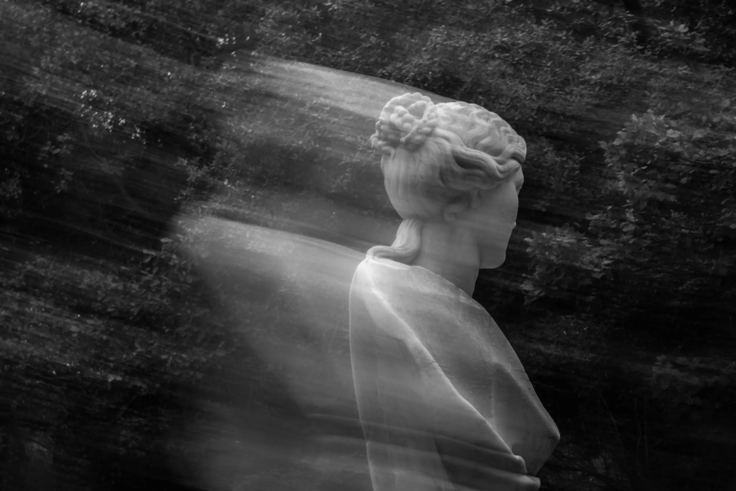 Pseudonym, photograph 25