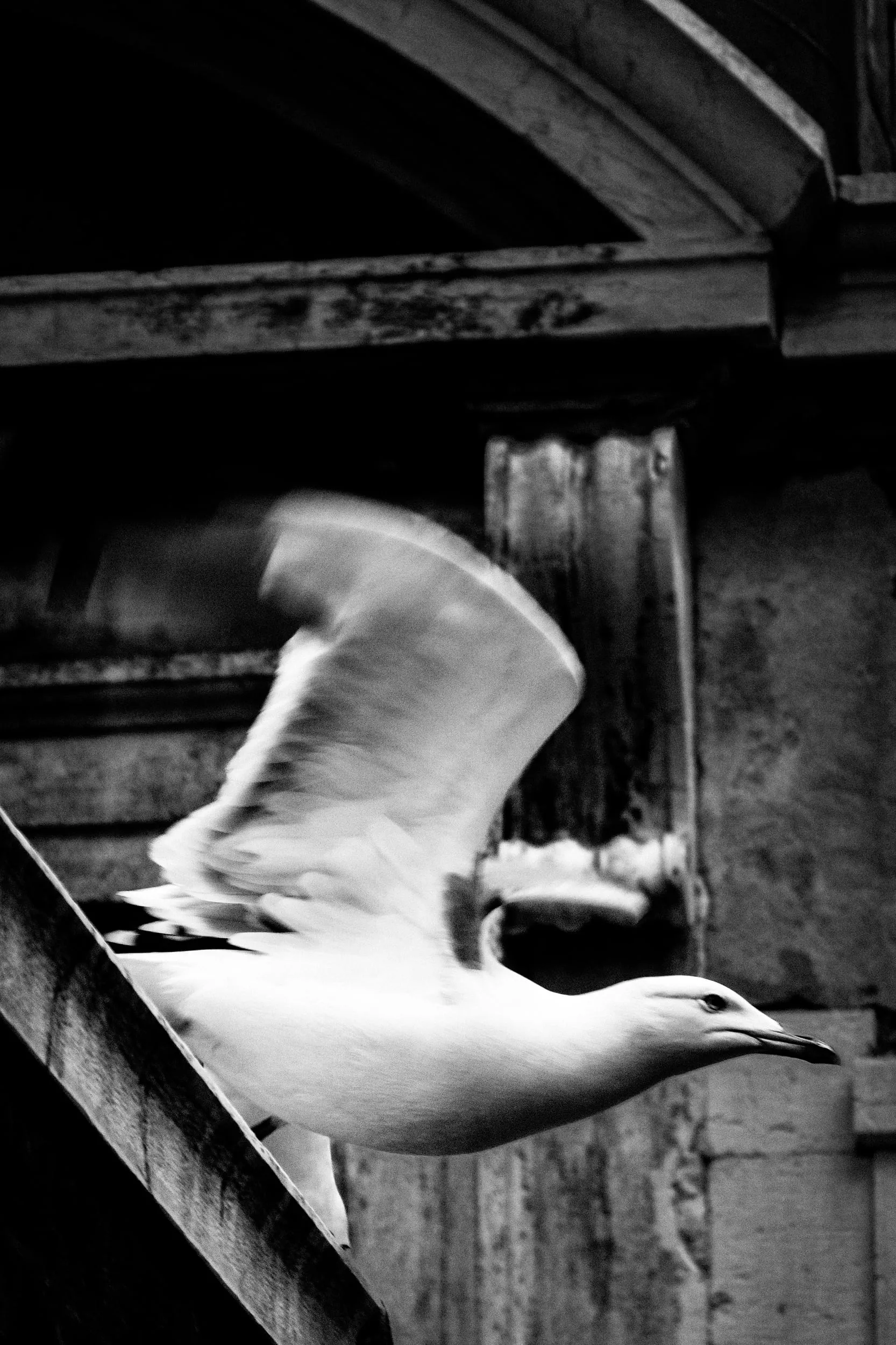 Carnevale di Venezia, фотография 25