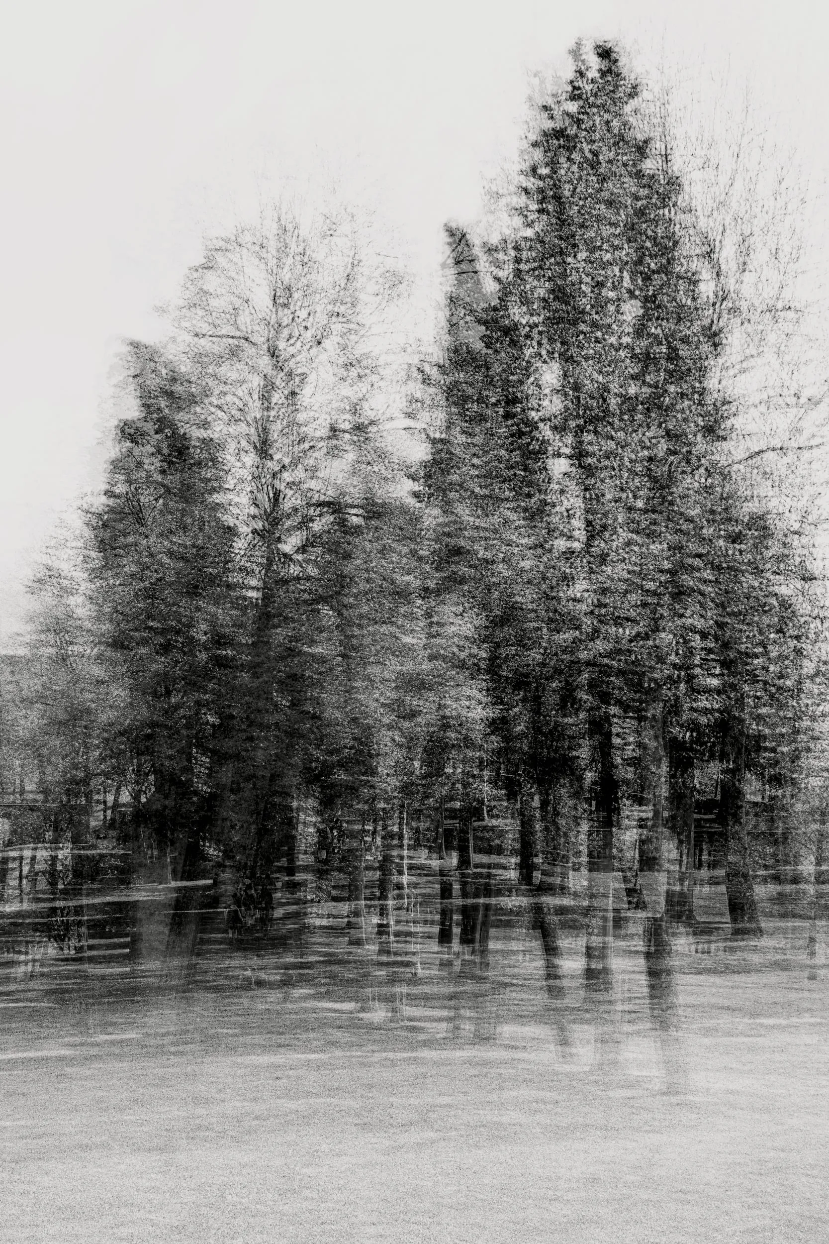Pseudonym, photograph 27