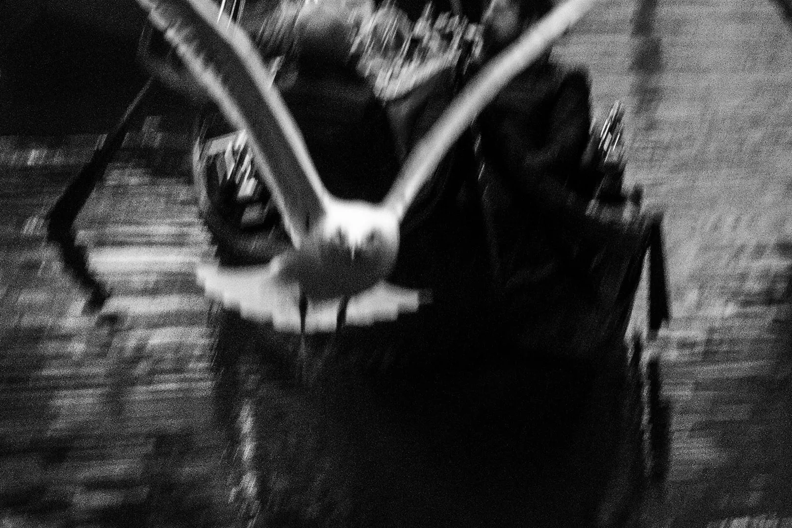Carnevale di Venezia, фотография 31