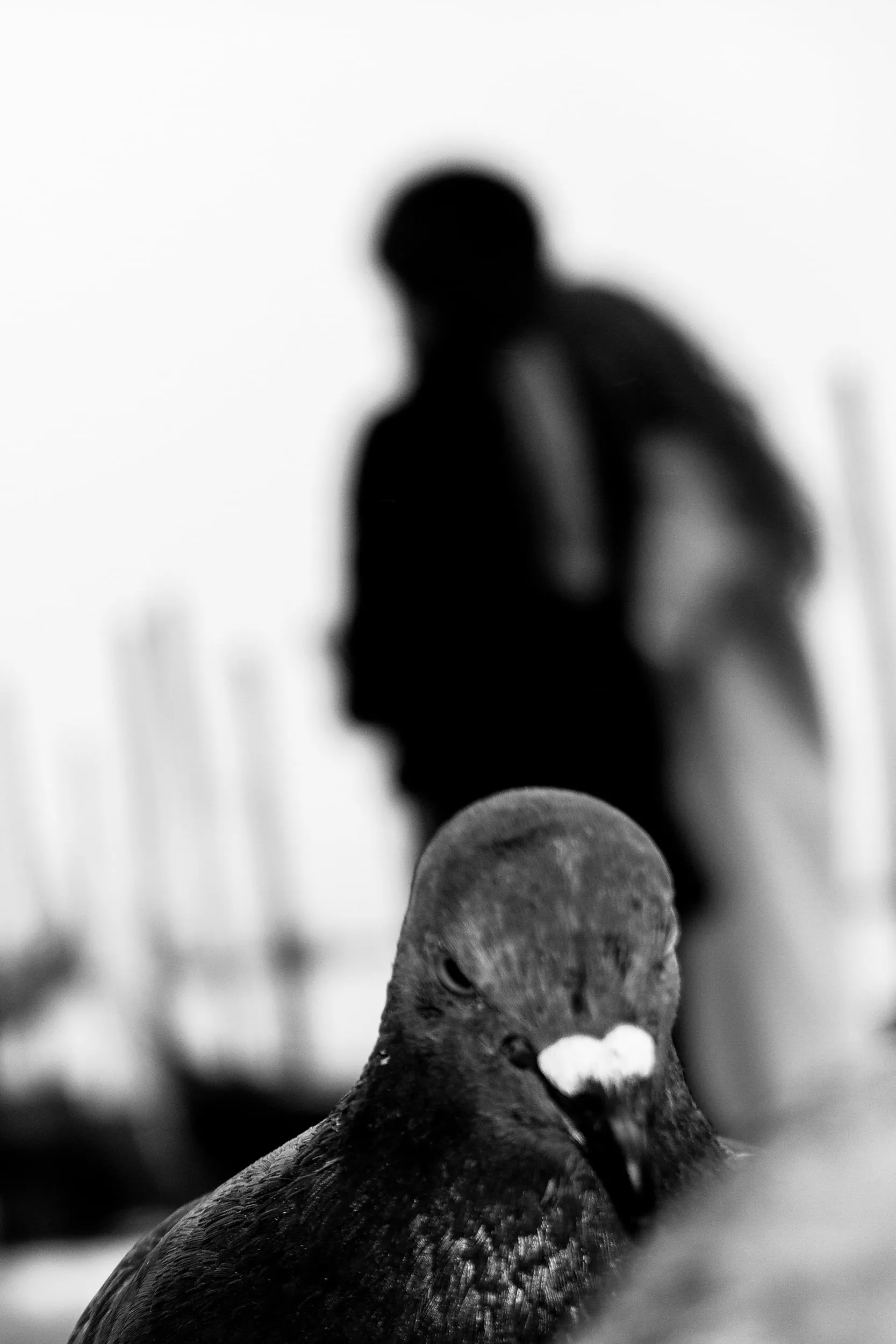 Carnevale di Venezia, фотография 64